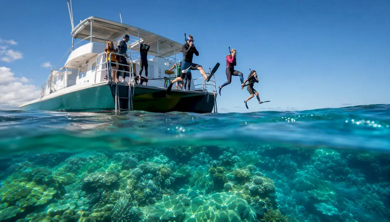 Great Barrier Reef tour cost: real all-in prices for 2026