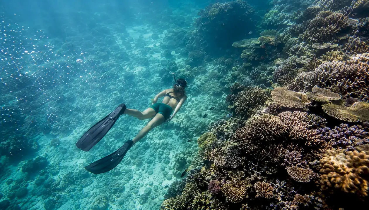 Everything you need to know before visiting the Great Barrier Reef for the first time!
