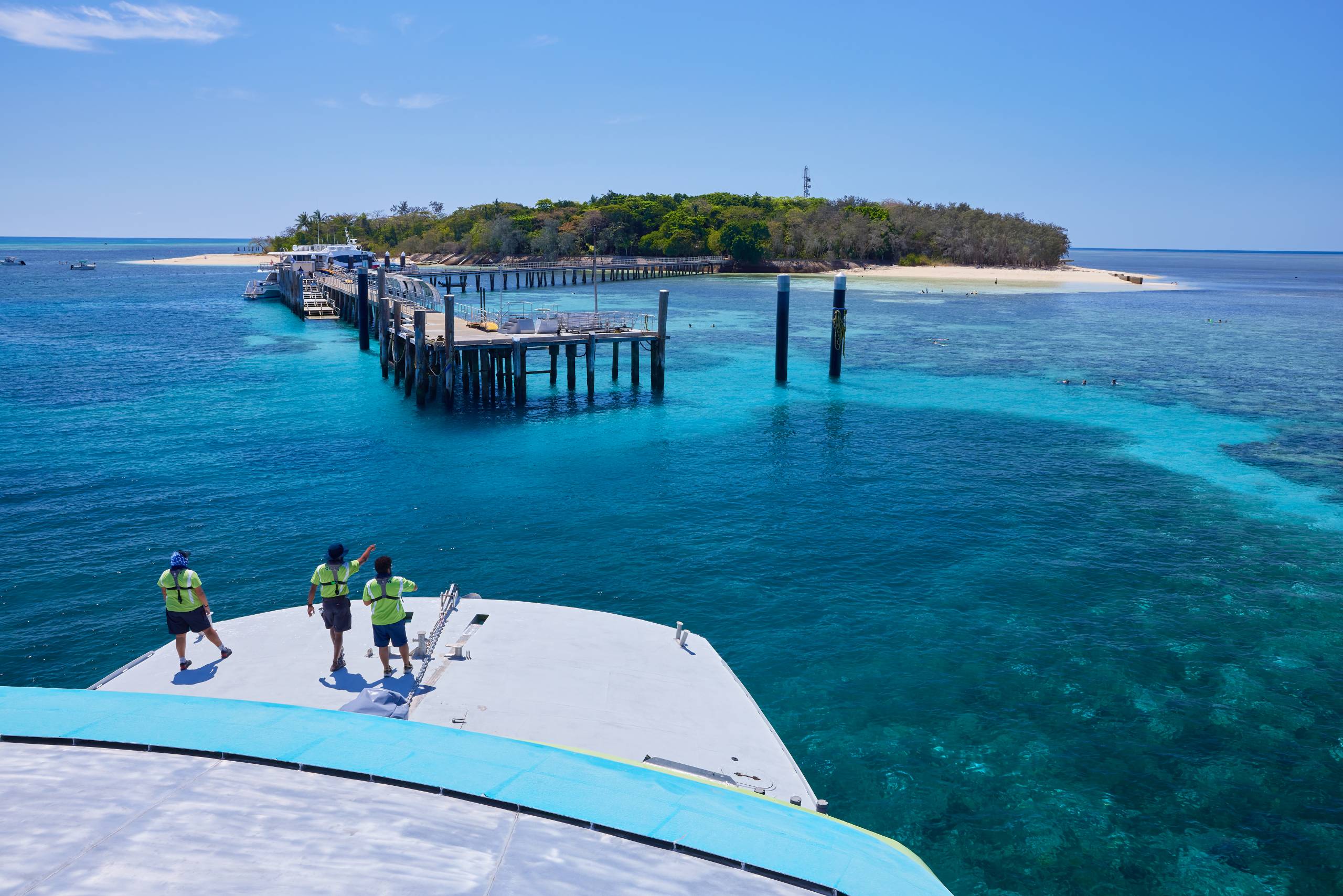 All About Cairns Reef Tours