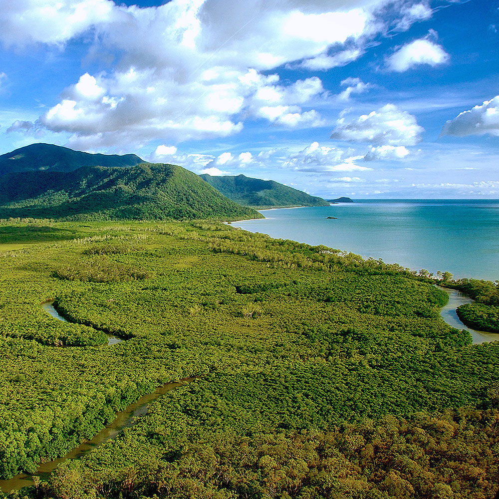 Daintree & Cape Tribulation