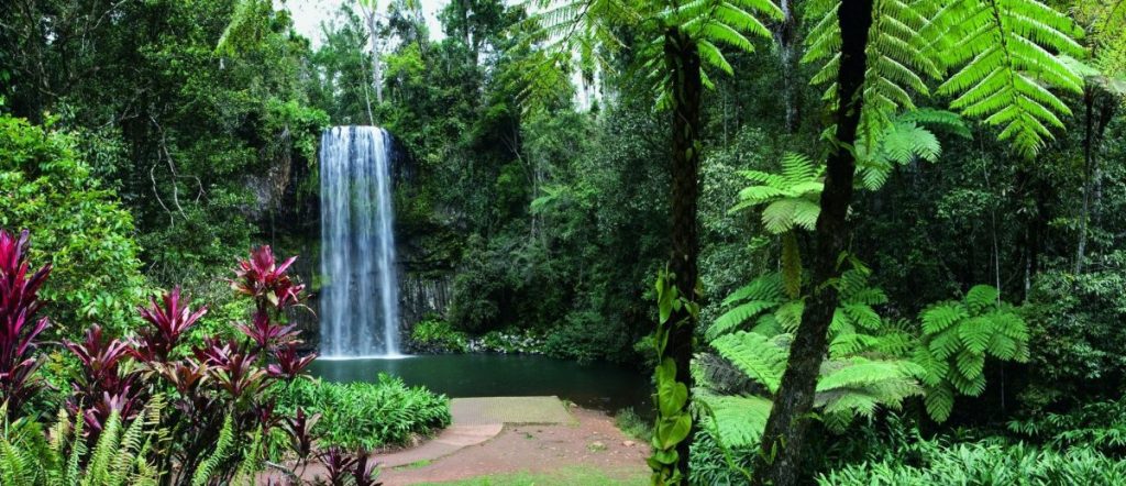 Atherton Tablelands