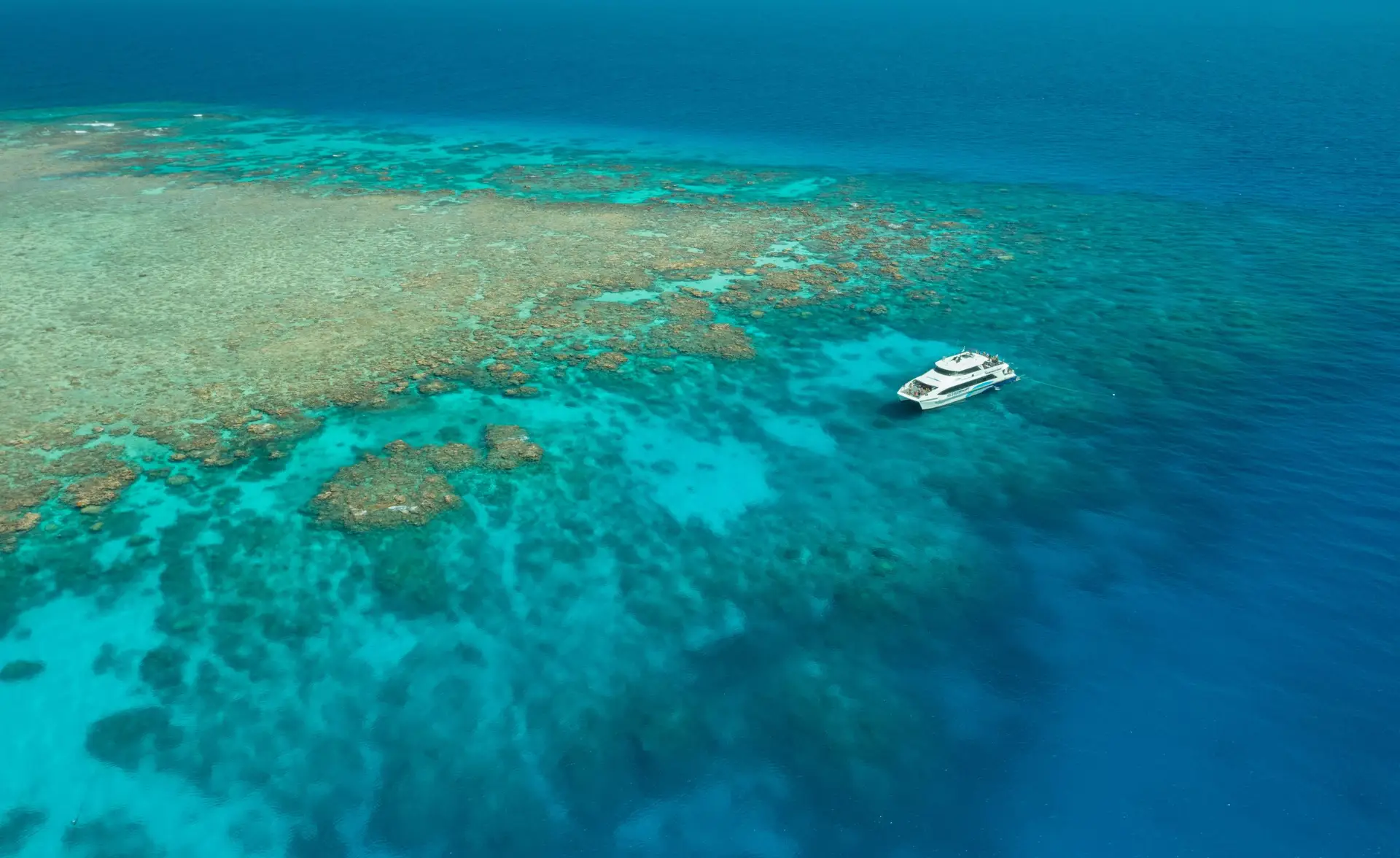 How to choose the perfect Great Barrier Reef Cruise.