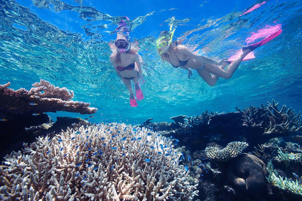 Explore the magical Great Barrier Reef