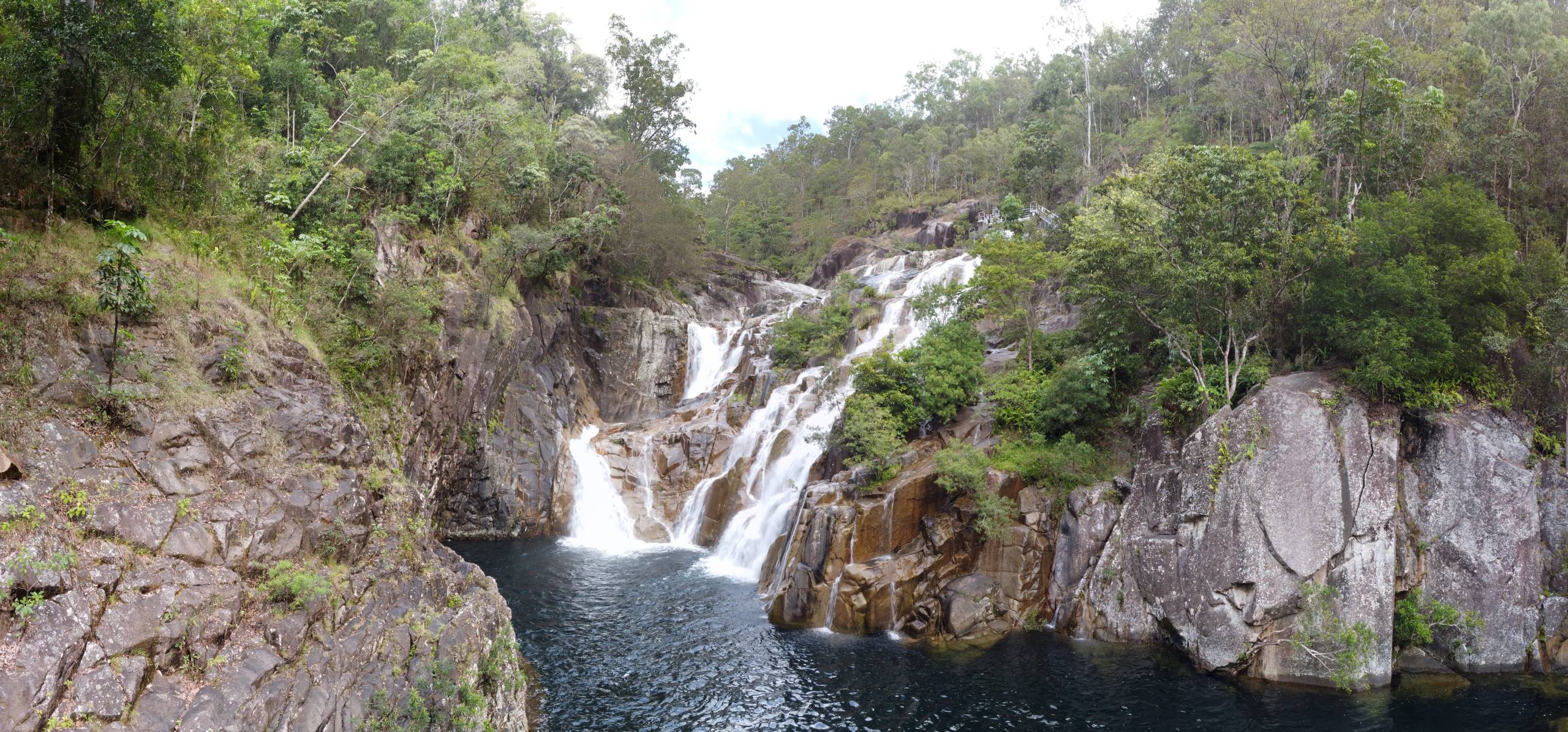 Bushwalking and Hiking Around Cairns